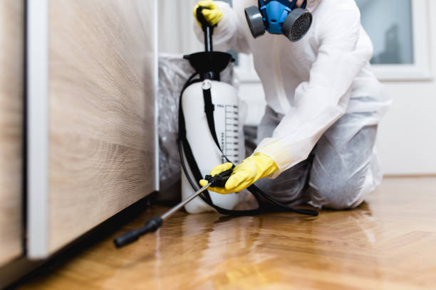 Best Pest Removal Services  in Blanding, UT
