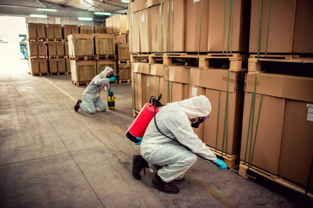 Best Cockroach Control Services  in Blanding, UT