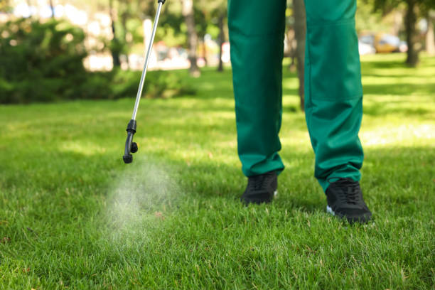Best Affordable Pest Control Services  in Blanding, UT