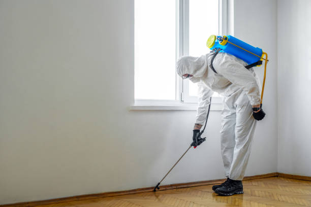 Best Best Pest Control Companies  in Blanding, UT