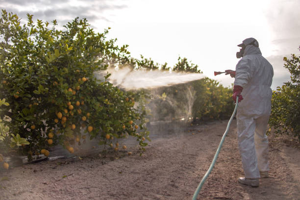 Best Pest Control Near Me  in Blanding, UT