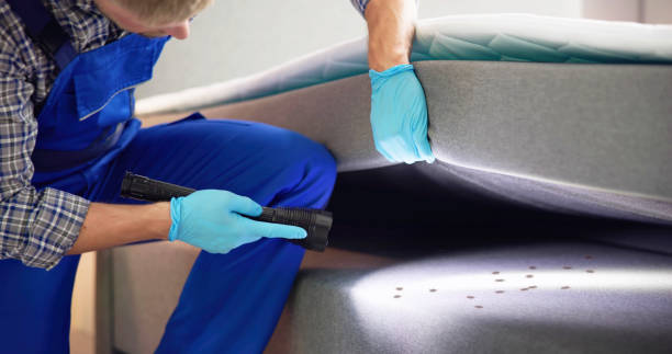 Pest Control for Restaurants in Blanding, UT
