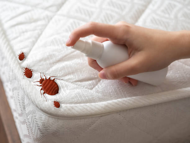 Pest Prevention Services in Blanding, UT