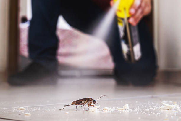 Best Residential Pest Control  in Blanding, UT