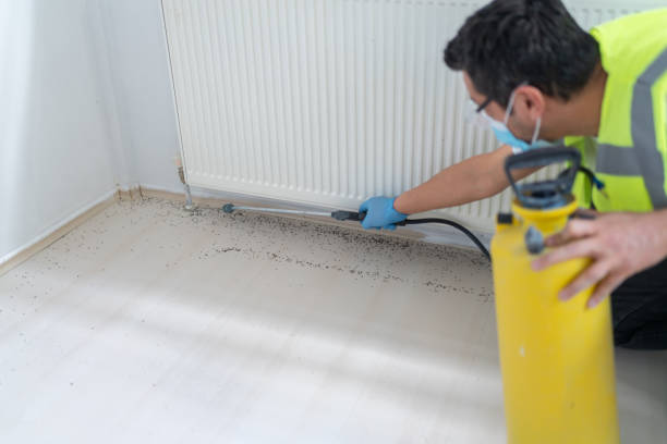 Best Pest Control for Businesses  in Blanding, UT