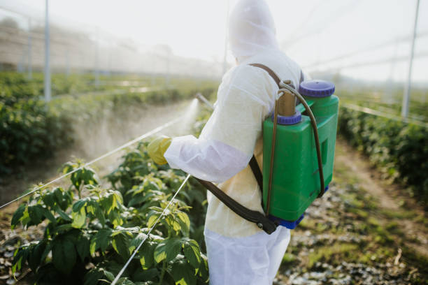Best Mosquito Control Services  in Blanding, UT